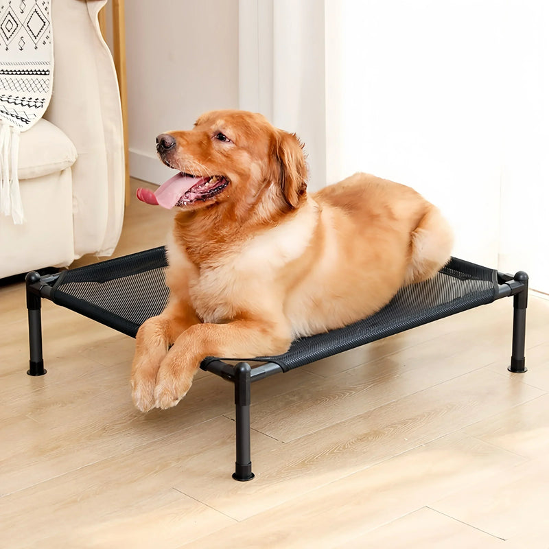 Carrying Pets Outdoors, Folding Camping Beds for Cats and Dogs, Marching Beds, Portable, Detachable, and Washable Cat Beds