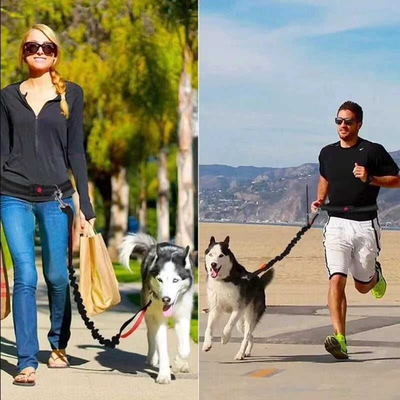 2025 NEW Cat Dog Hands-Free Leash Outdoor Sports Reflective Elastic for Running Dog Leash Chain Adjustable Pet Supplies