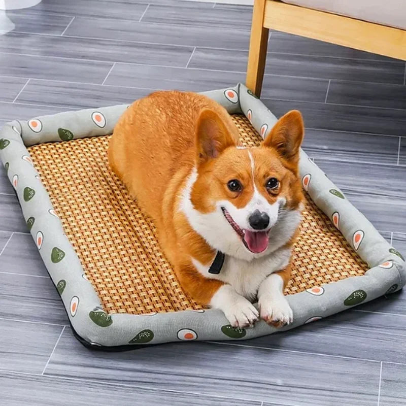Chillpaws™ Dog Summer Mat