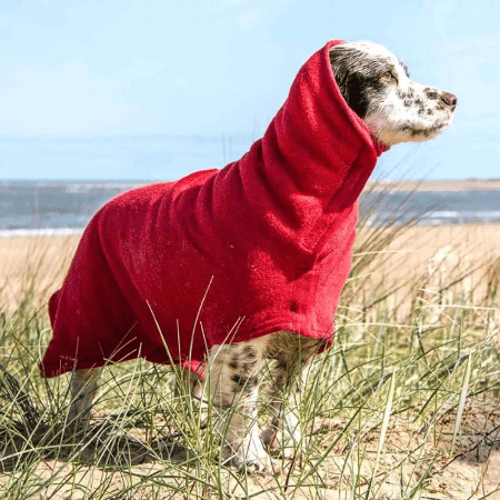 Bestbuddy dog bathrobe